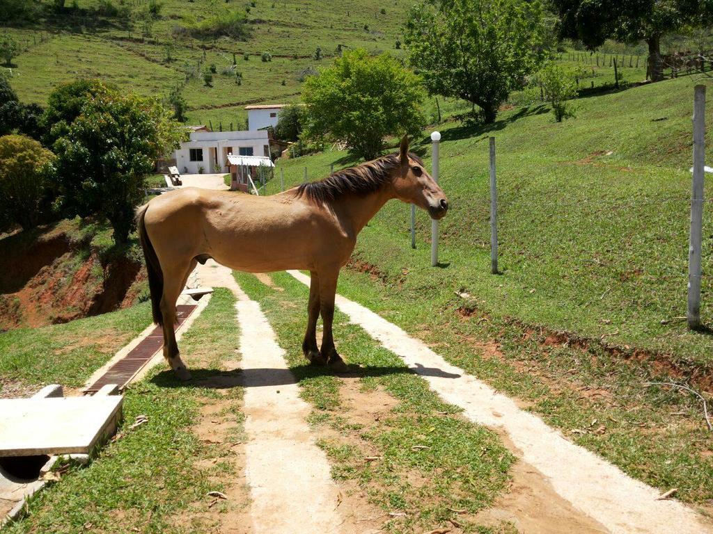 Sitio Bem Me Quer Petropolis (Rio de Janeiro) Exterior photo